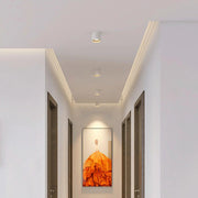 Minimalis LumePoint Cylinder Ceiling Light