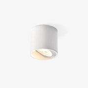 Minimalis LumePoint Cylinder Ceiling Light