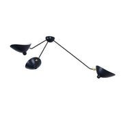 Stylish Celestial Curve Metal Ceiling Light