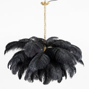 Modern Organic-Plume Luxe Chandelier