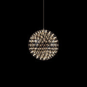 Elegant Stainless Luster Ball Pendant Light